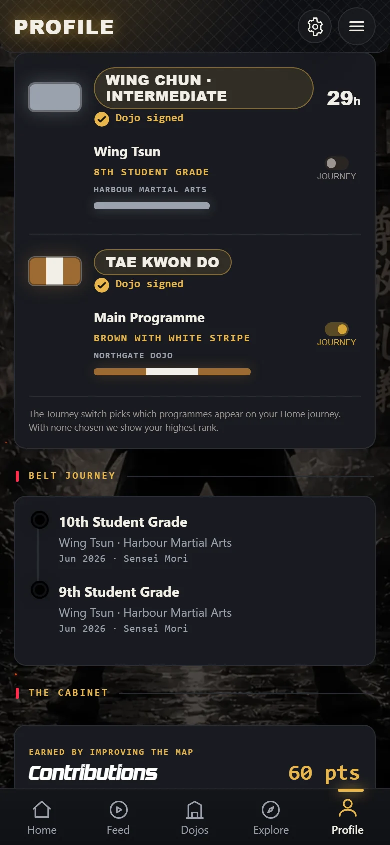 DojoDome Profile screen: belts in two arts and the belt journey